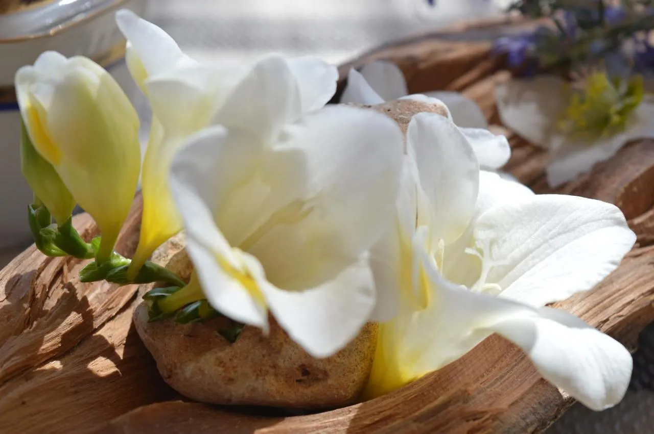 Frühstückspension B&B Su Biancu - Sardinian Experience Urzulei